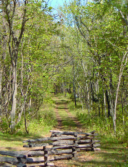 Old Missouri Rd